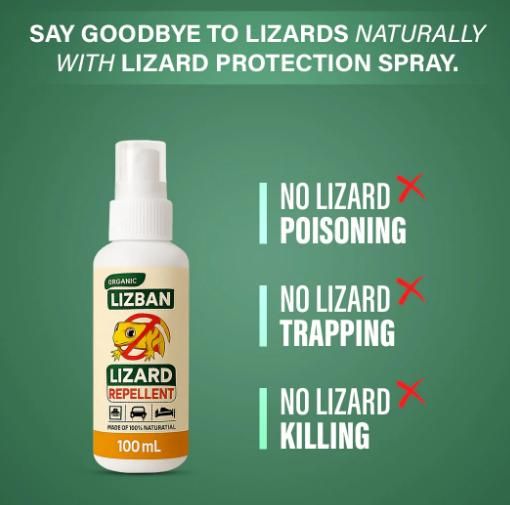 Lizard Repellent Spray (Pack of 3)